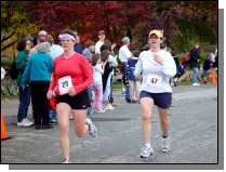 Large Version Not Available