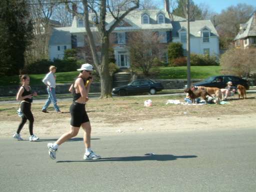 boston-534.jpg  (37.1 Kb)