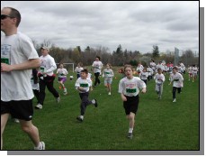 Large Version Not Available