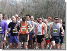 Large Version Not Available