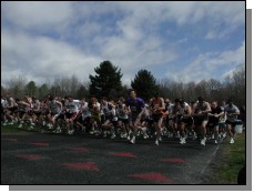 Large Version Not Available