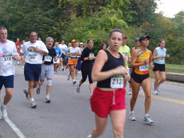 DSC09786.jpg  (88.8 Kb)