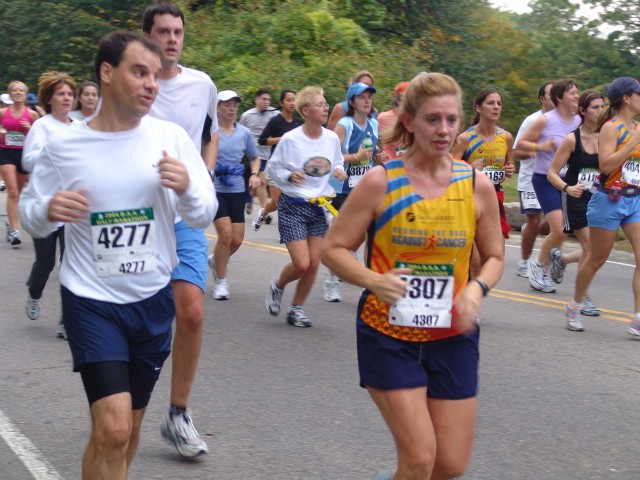 DSC09870.jpg  (88.1 Kb)