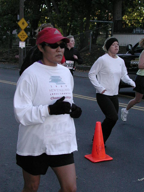 half-095.jpg  (54.4 Kb)