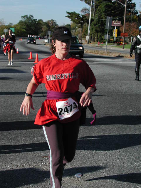 half-275.jpg  (61.8 Kb)