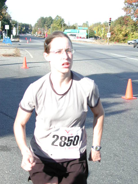 half-353.jpg  (60.1 Kb)