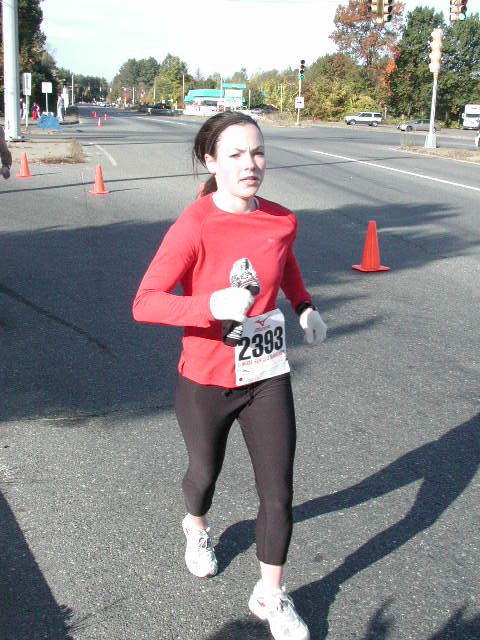 half-410.jpg  (64.2 Kb)