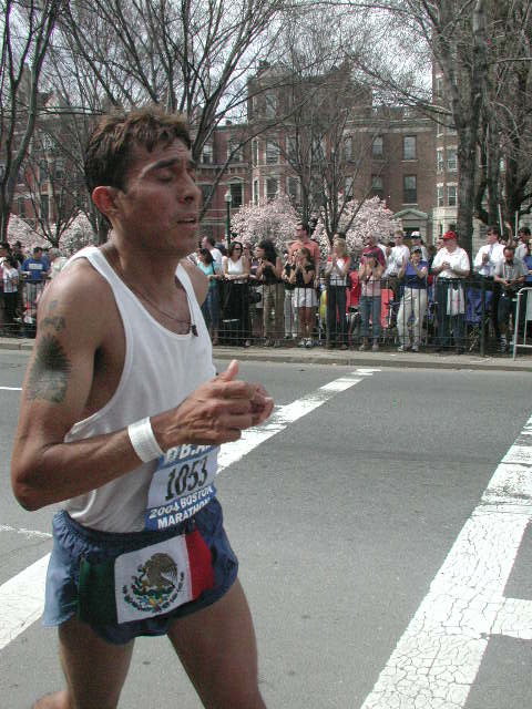 boston25m-0162.jpg  (92.8 Kb)
