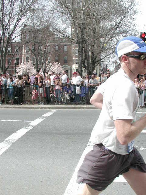 boston25m-0283.jpg  (87.2 Kb)