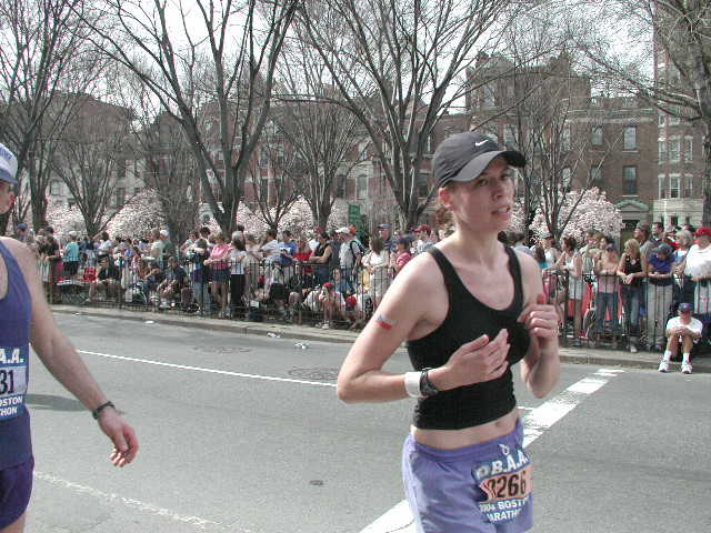boston25m-0795.jpg  (73.1 Kb)