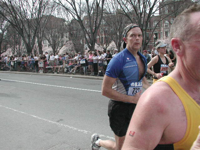 boston25m-1101.jpg  (72.2 Kb)
