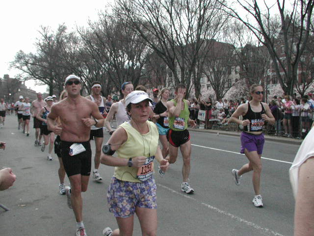 boston25m-1341.jpg  (71.3 Kb)