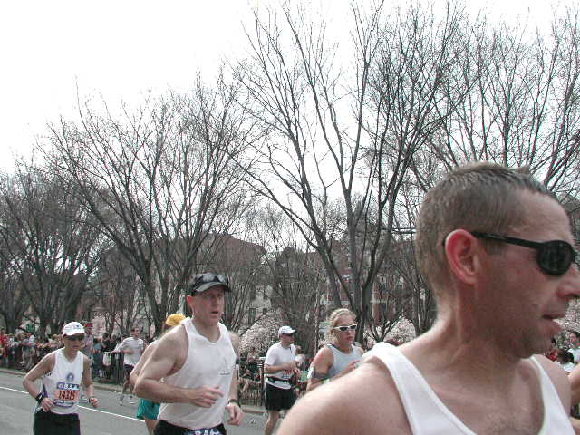 boston25m-1468.jpg  (75.6 Kb)