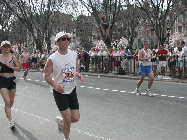 boston25m-1677.jpg  (65.4 Kb)