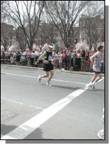boston25m-0549.jpg  (90.2 Kb)