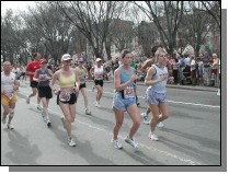 boston25m-1453.jpg  (68.4 Kb)