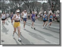 boston25m-1704.jpg  (65.2 Kb)