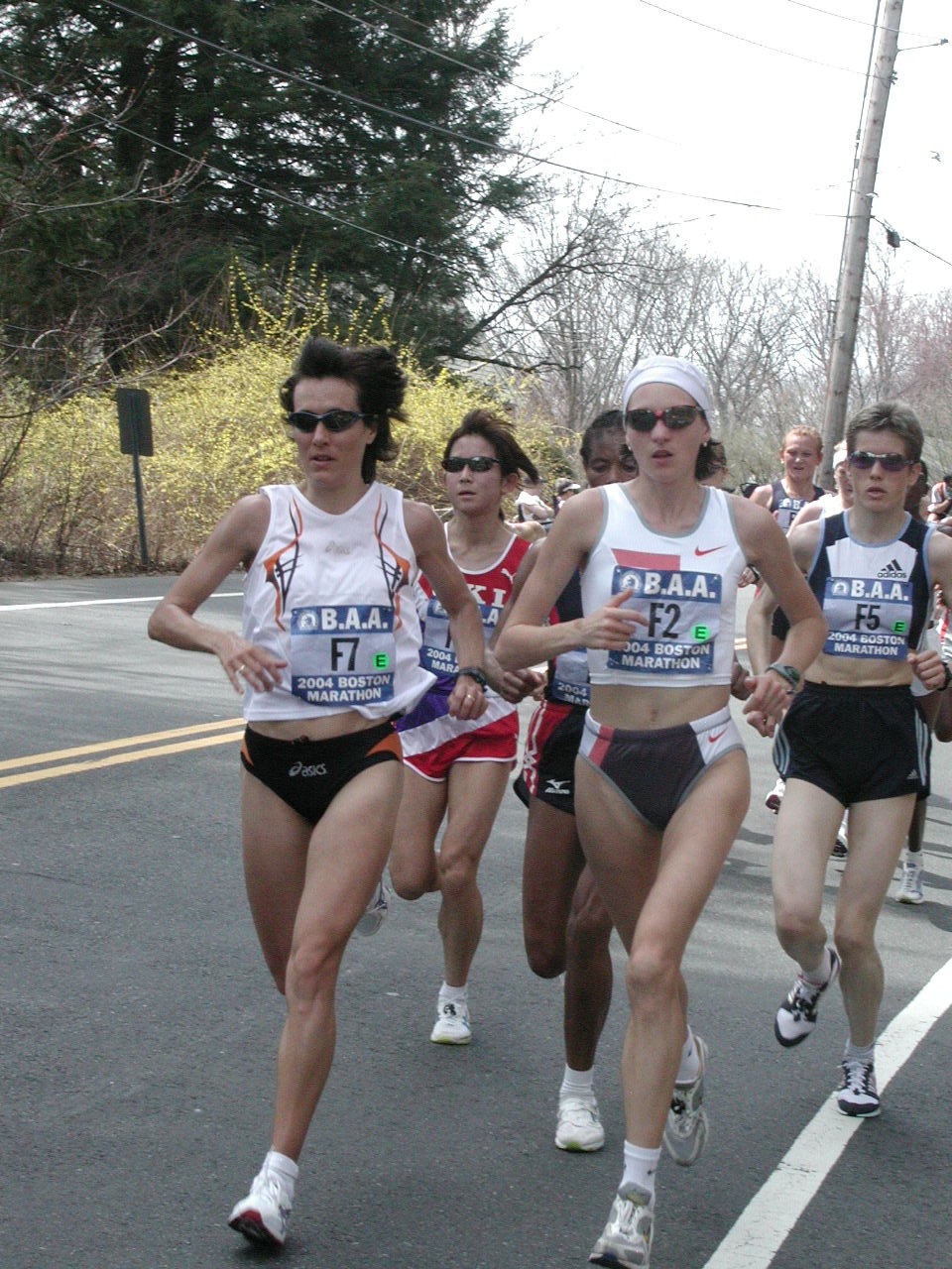 boston2m-029.jpg  (301.4 Kb)