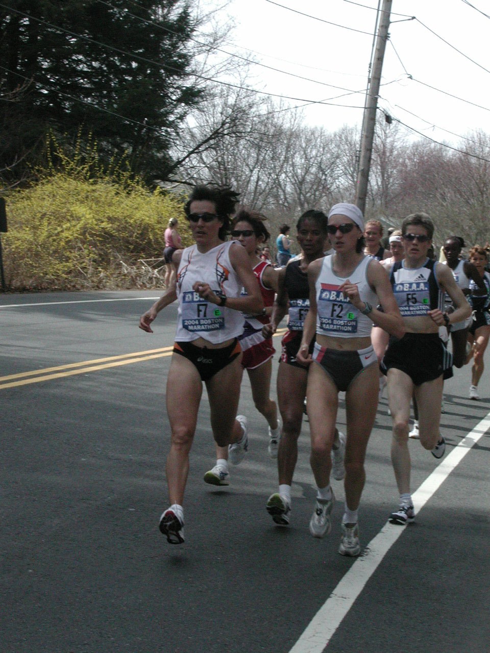boston2m-030.jpg  (283.9 Kb)