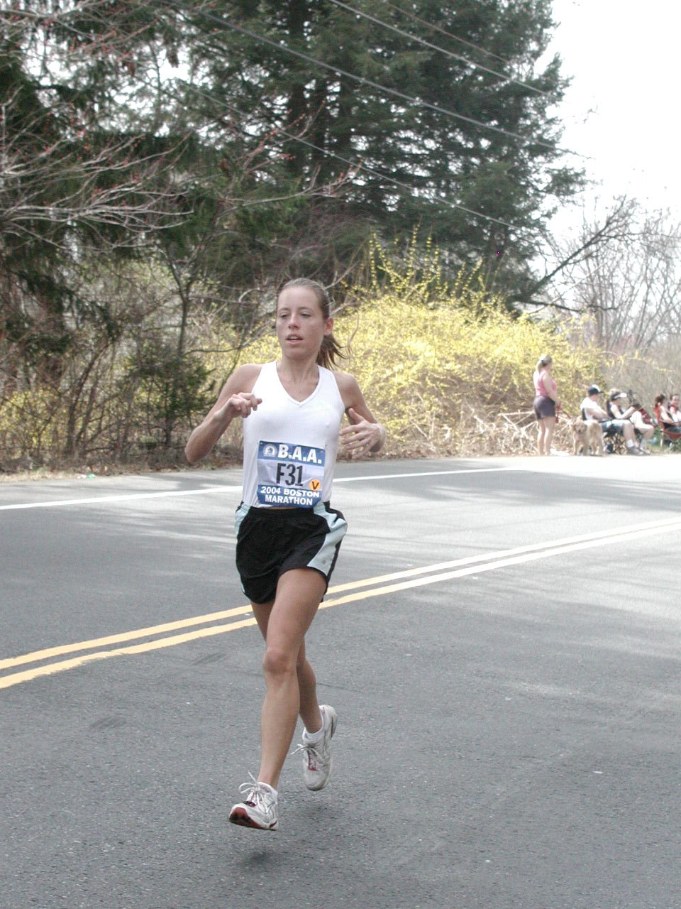 boston2m-033.jpg  (286.1 Kb)