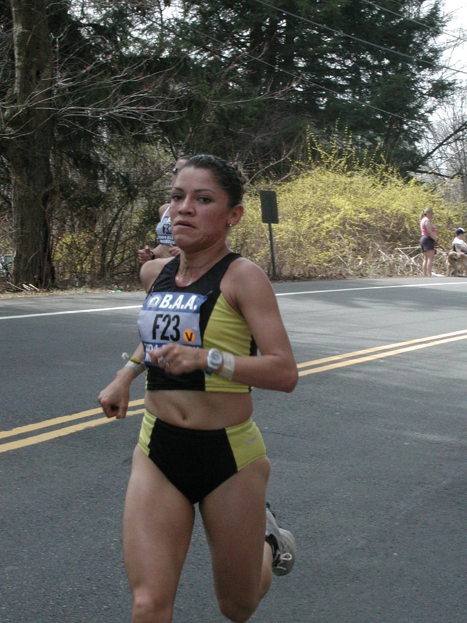 boston2m-034.jpg  (304.5 Kb)