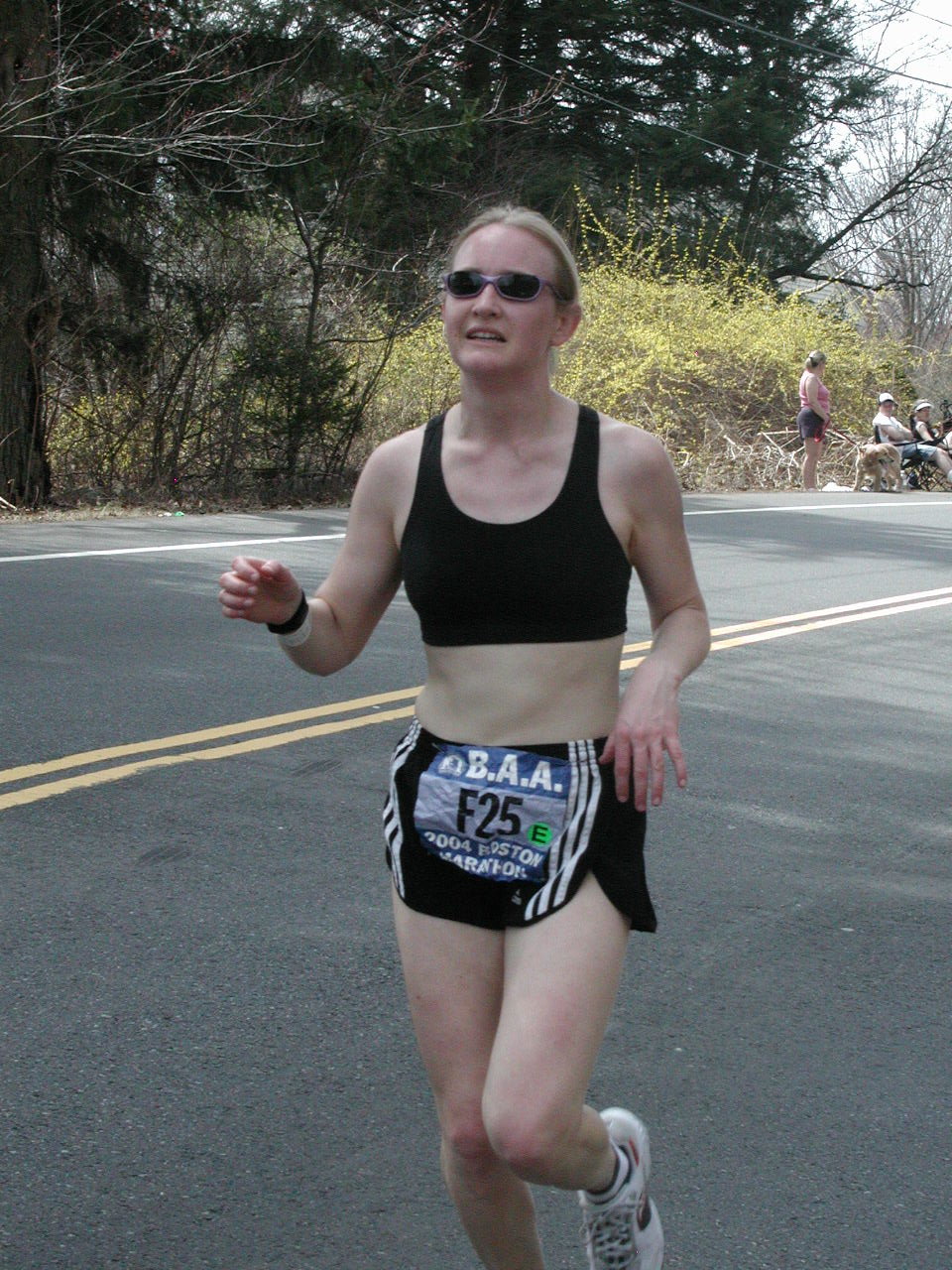 boston2m-036.jpg  (327.9 Kb)
