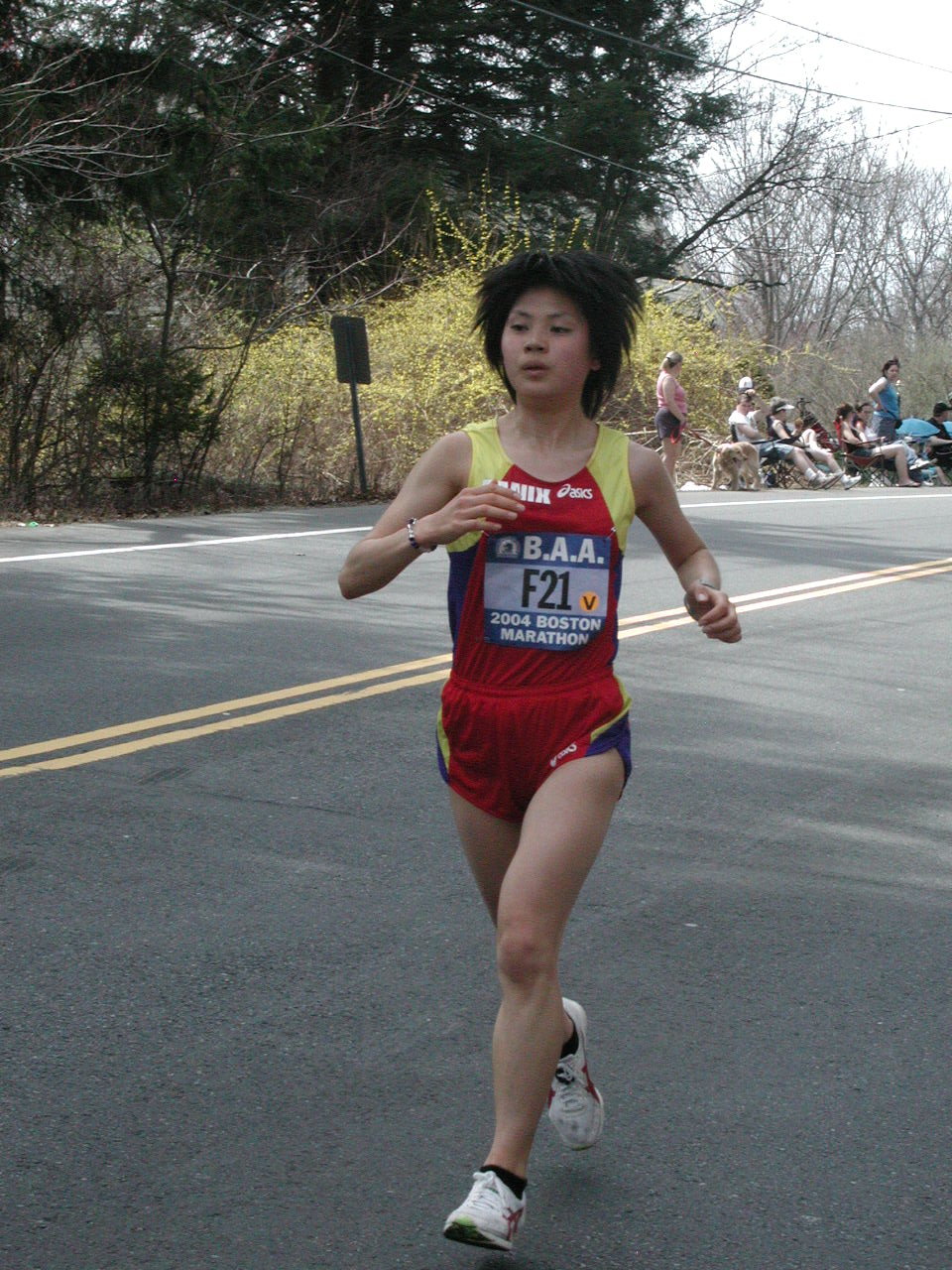 boston2m-037.jpg  (316.1 Kb)