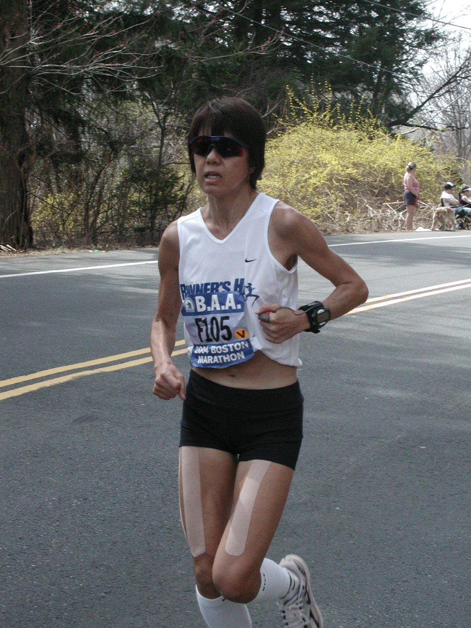 boston2m-039.jpg  (305.9 Kb)