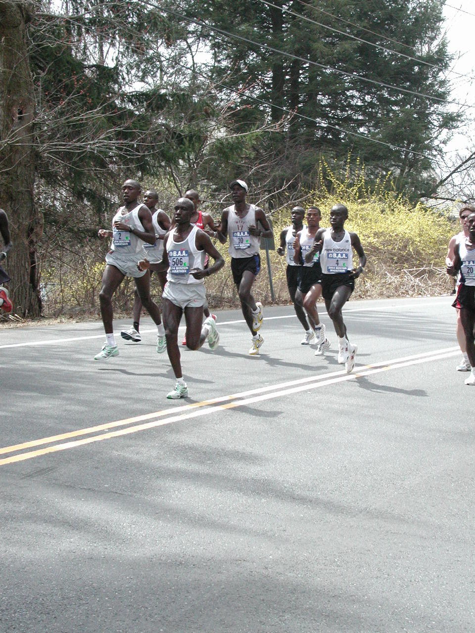 boston2m-049.jpg  (373.3 Kb)