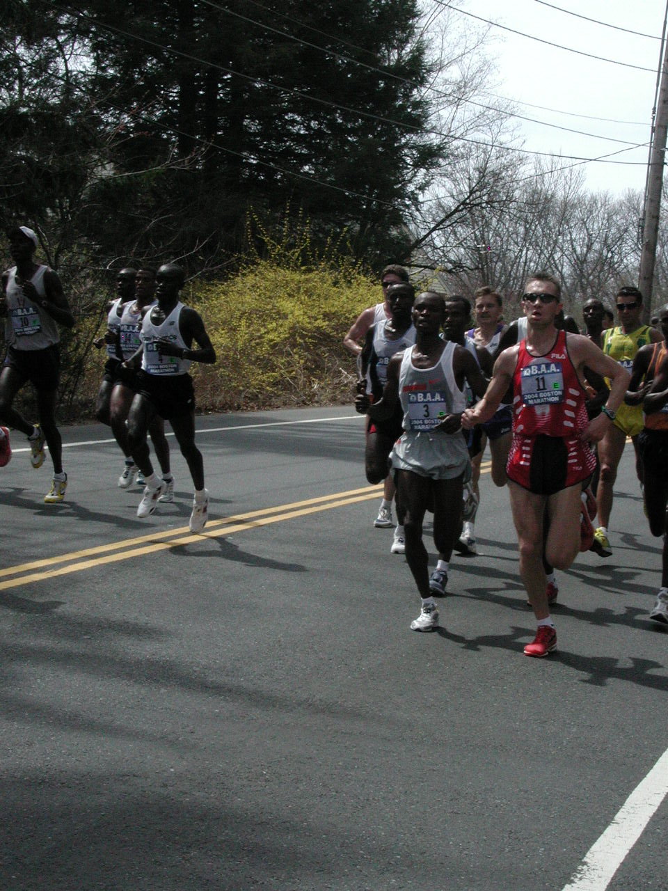 boston2m-051.jpg  (302.2 Kb)