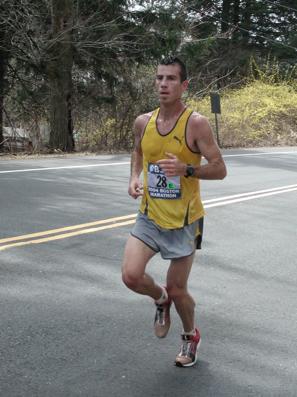 boston2m-053.jpg  (321.1 Kb)