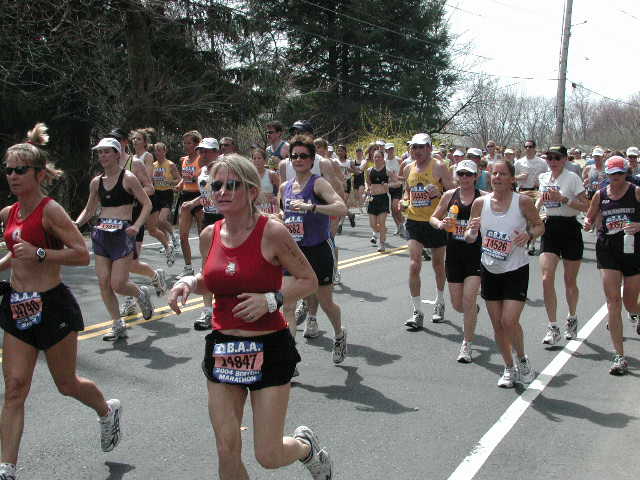 boston2m-483.jpg  (64.1 Kb)