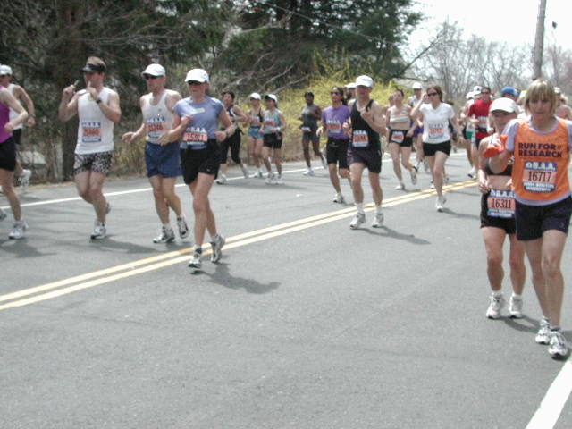 boston2m-587.jpg  (63.3 Kb)