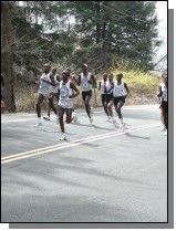 boston2m-049.jpg  (373.3 Kb)
