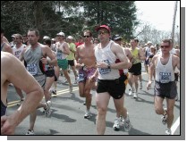boston2m-249.jpg  (72.8 Kb)