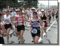 boston2m-418.jpg  (66.3 Kb)