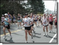 boston2m-472.jpg  (72.5 Kb)