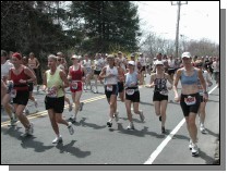 boston2m-485.jpg  (72.6 Kb)