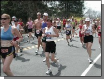 boston2m-496.jpg  (73.4 Kb)