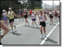 boston2m-501.jpg  (72.5 Kb)