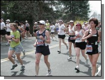 boston2m-512.jpg  (68.1 Kb)