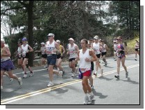 boston2m-514.jpg  (70.1 Kb)