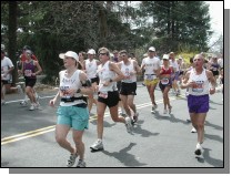 boston2m-516.jpg  (73.5 Kb)