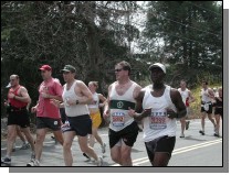 boston2m-818.jpg  (67.4 Kb)