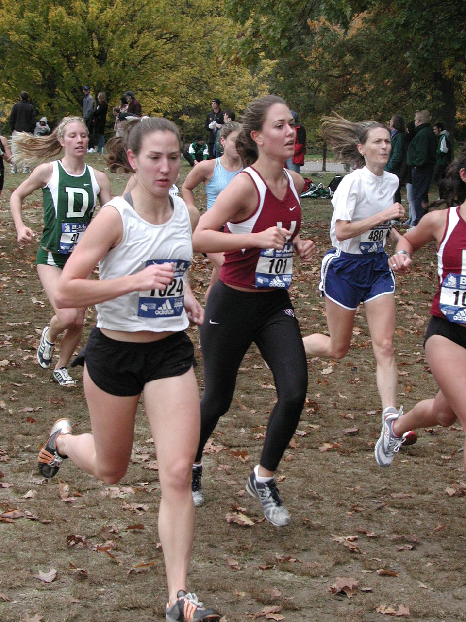 mayor-19.jpg  (276.9 Kb)