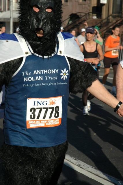 HSC_0023.jpg  (69.4 Kb)