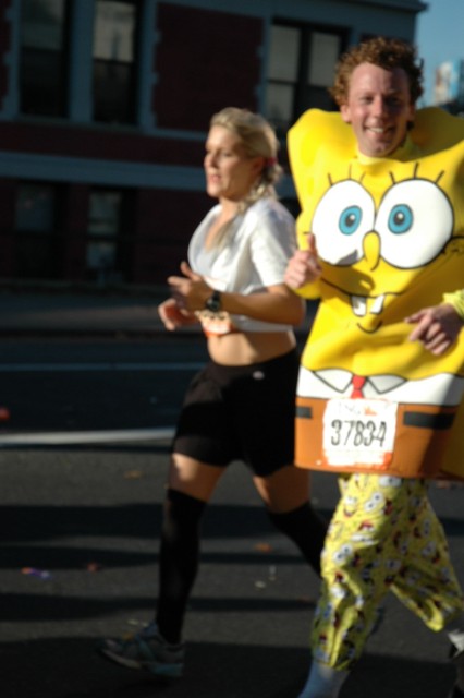 HSC_0127.jpg  (43.9 Kb)