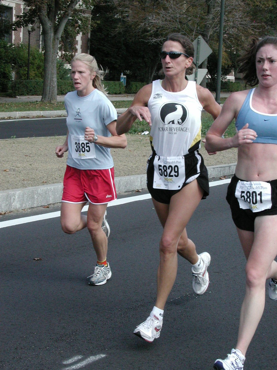 tufts033.jpg  (295.5 Kb)
