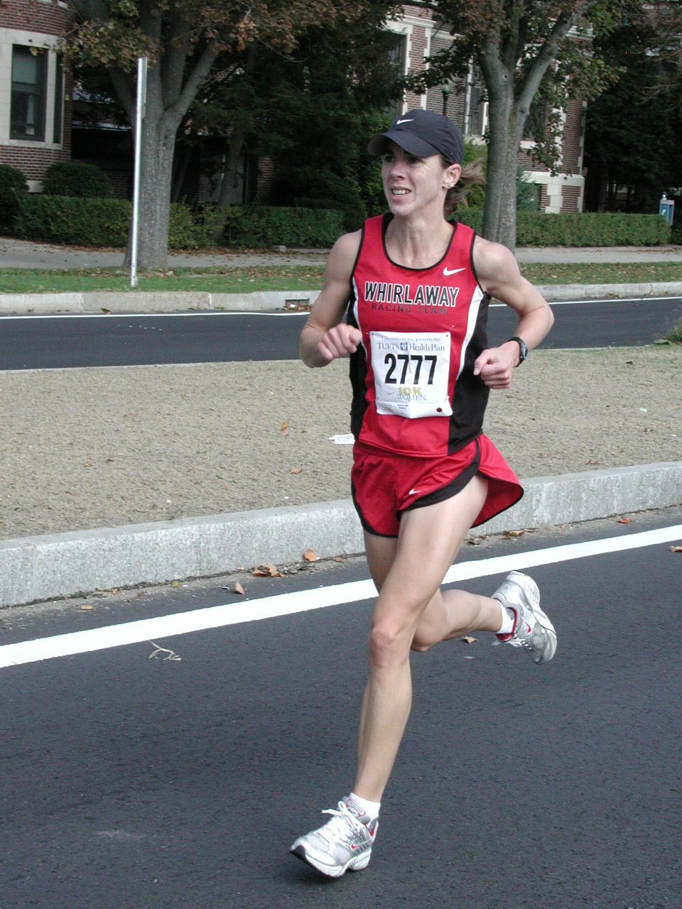 tufts039.jpg  (291.0 Kb)