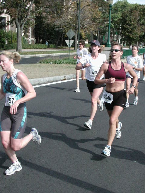 tufts062.jpg  (86.1 Kb)